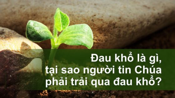 Đau khổ là gì, tại sao người tin Chúa phải trải qua đau khổ?